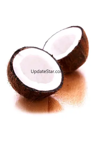Coconut Horse 1.1