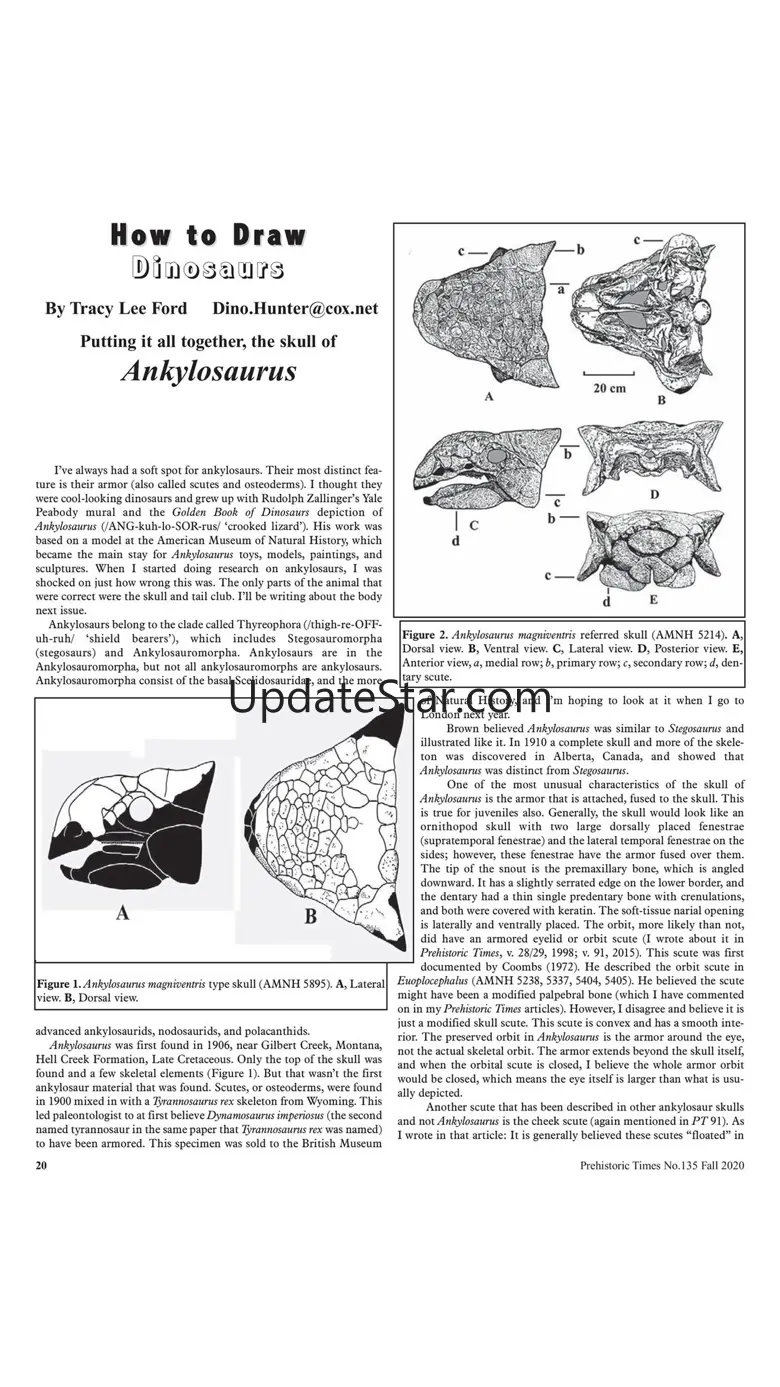 Prehistoric Times Magazine 6.0.0