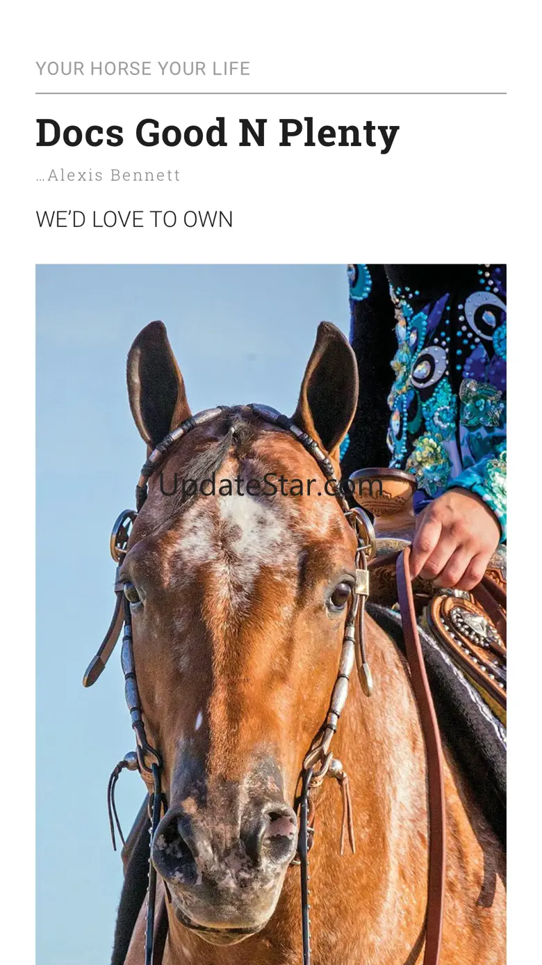 Horse&Rider USA 11120.4.5
