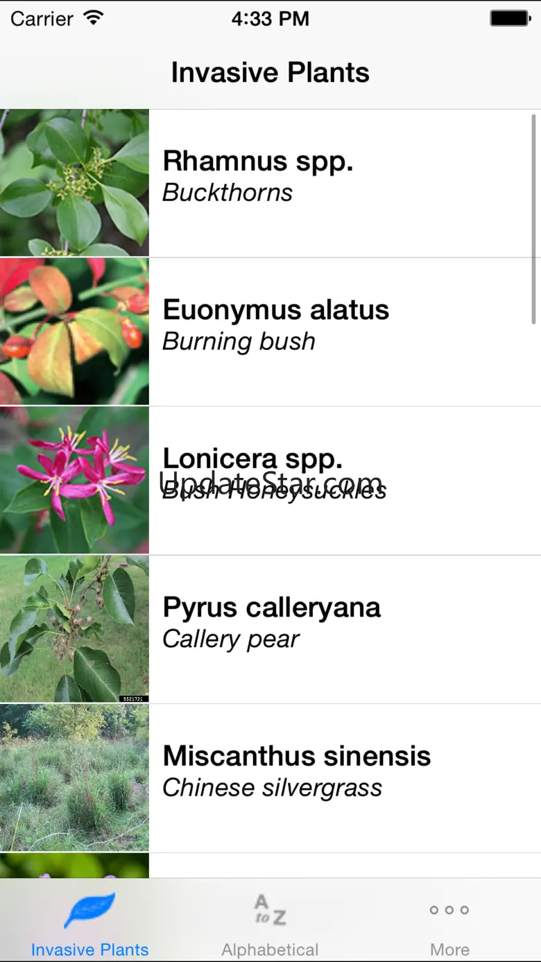 Landscape Alternatives 2.4.5