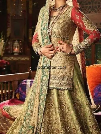 Bridal Lehenga Designs 2021 -  5.5