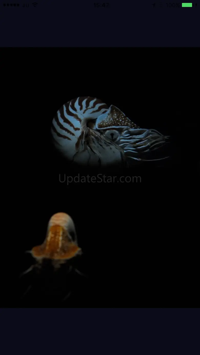 Fish in Aquamarine-FUKUSHIMA 2.01