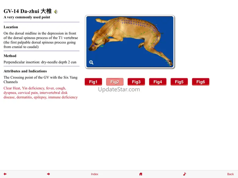Canine Acupuncture Point HD 2.1.1