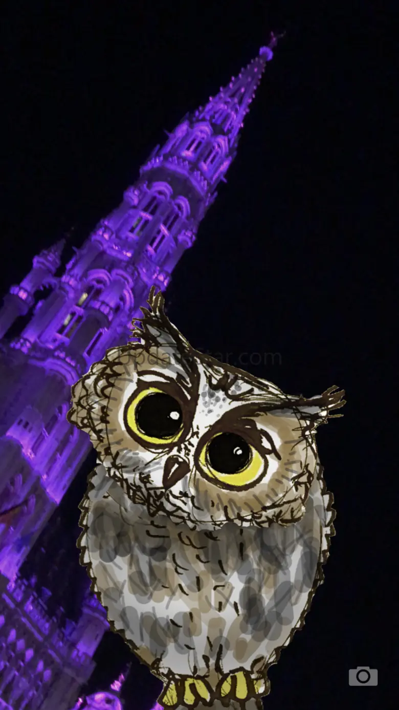 Rotate the Owl 1.0.2