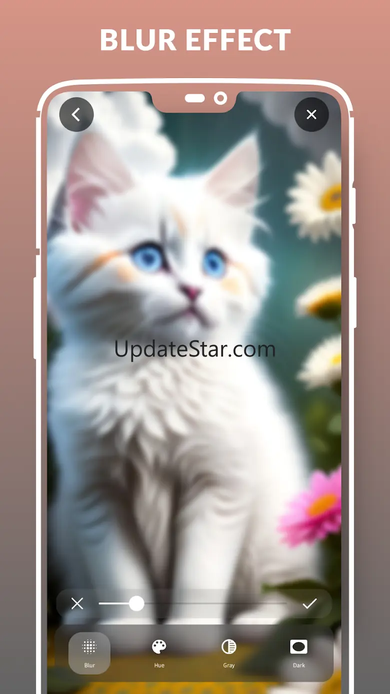 Wallpapers