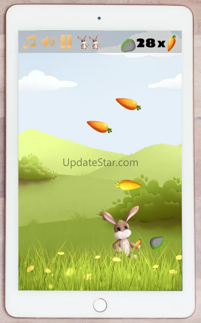 Catch The Carrot 1.36.4