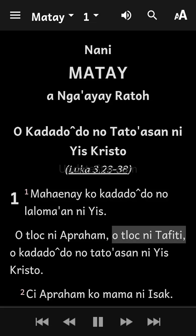 Amis Bible 2.0.2
