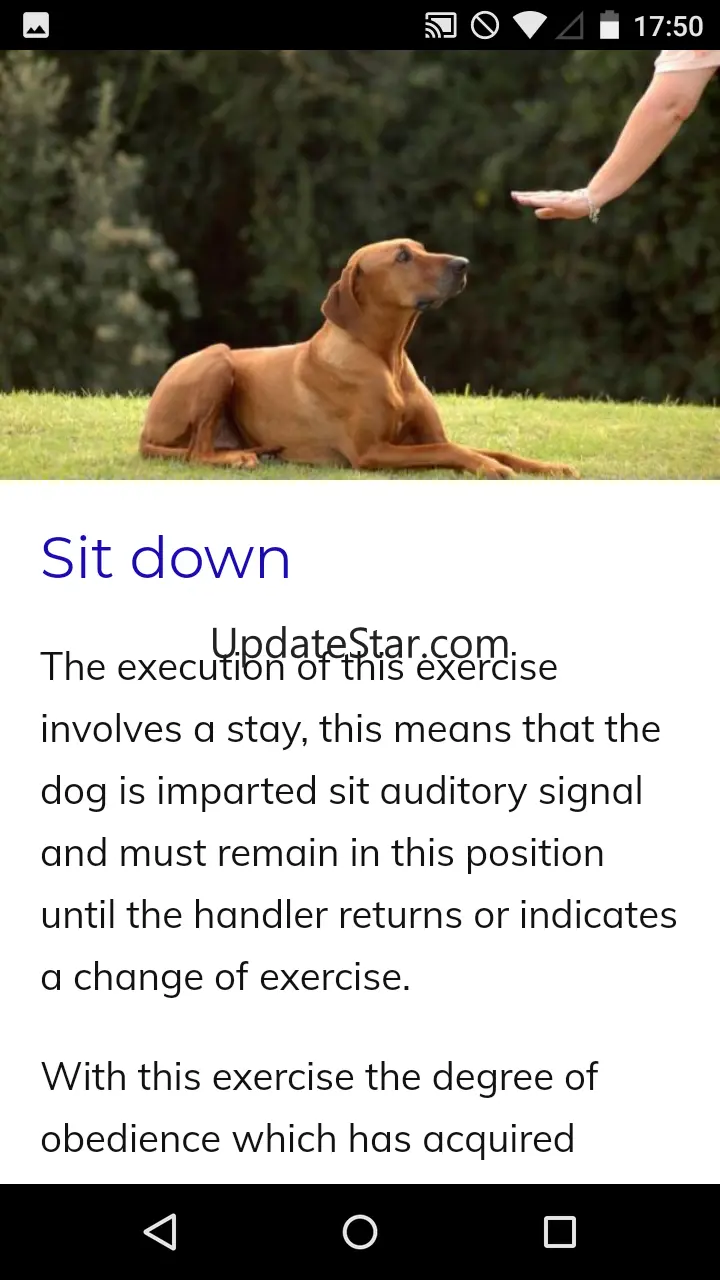 Canine Training Course