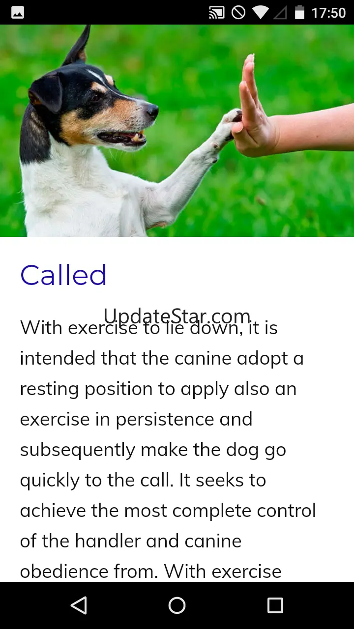 Canine Training Course