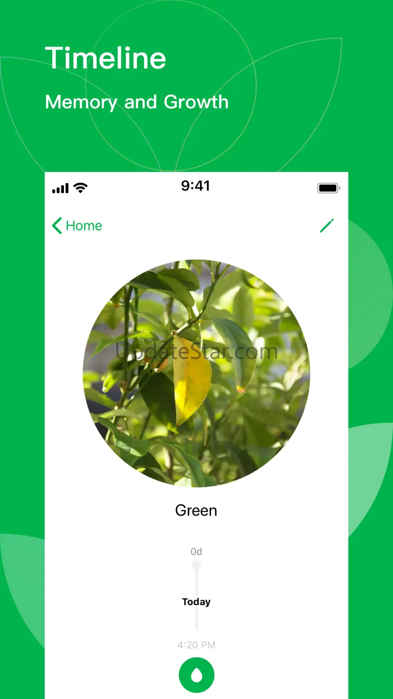 A Florist 5.1.5