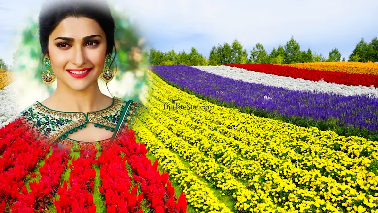 Flower Hill Photo Editor-Frame 1.0.5