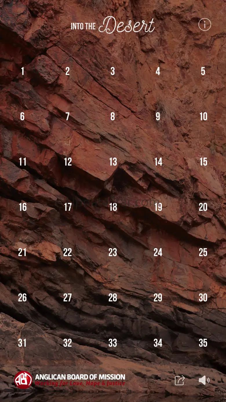 Into the Desert 4.1
