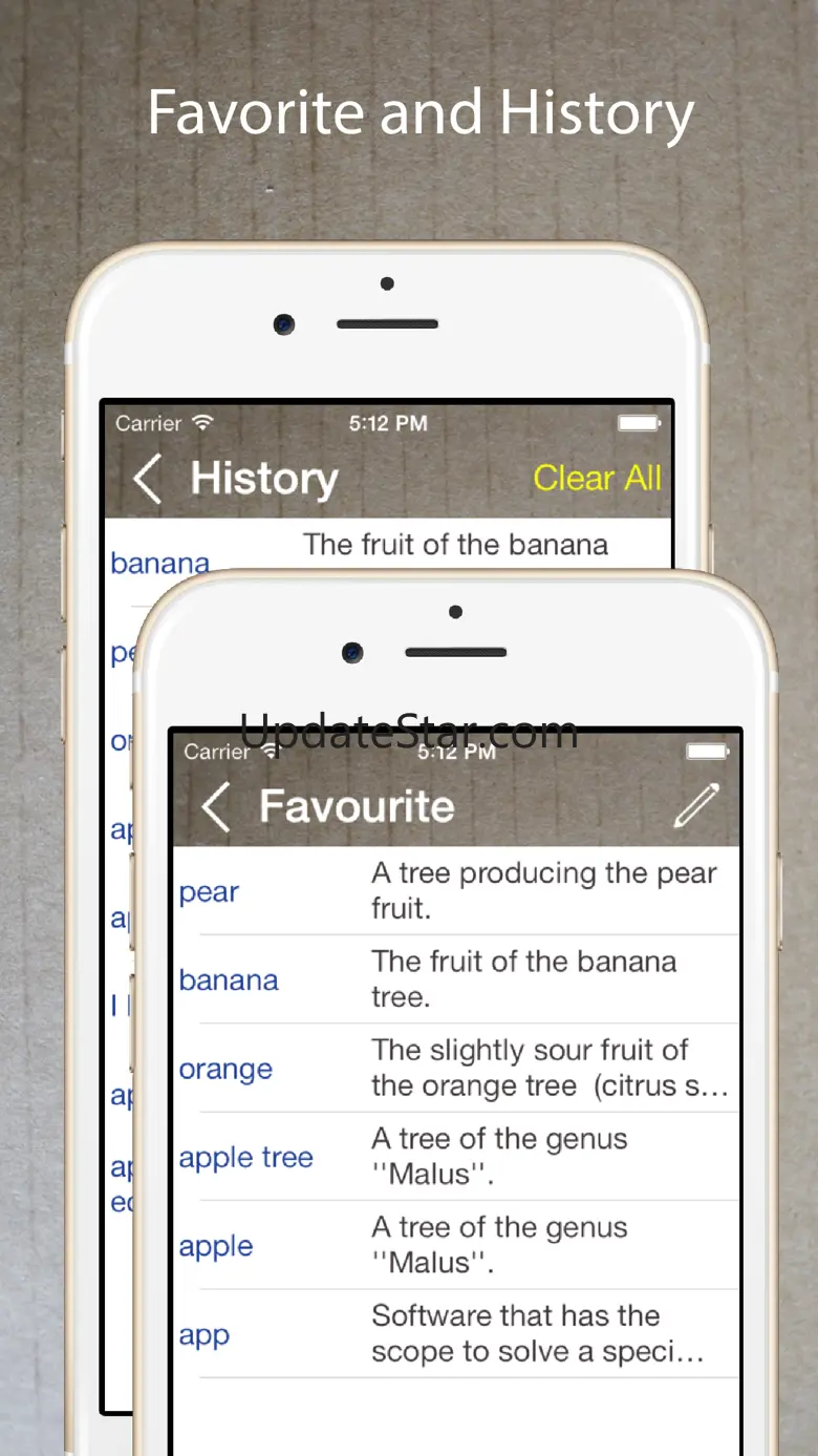 The English Dictionary Offline 5.1.0