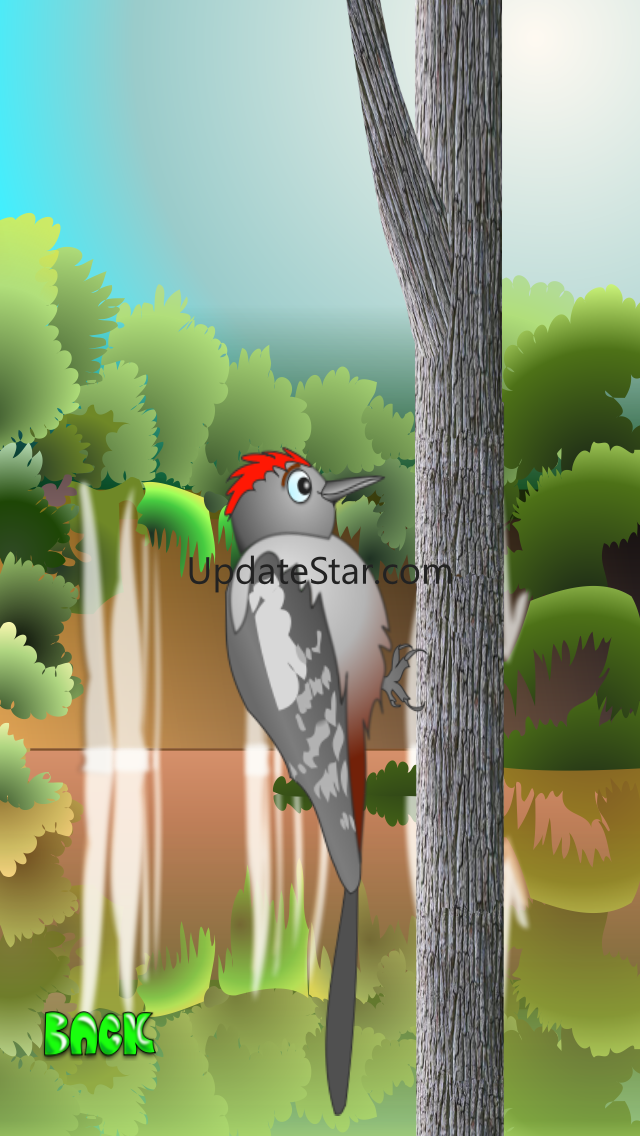 Woodpecker Mania 1.0