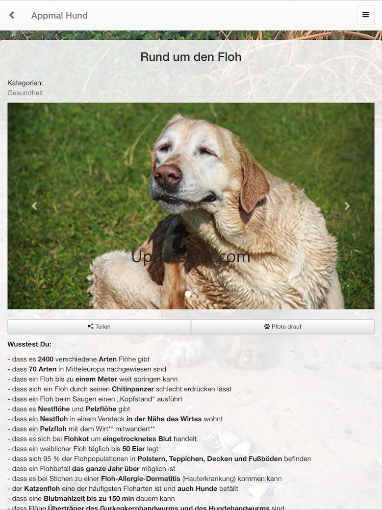 Appmal Hund - Hundeapp