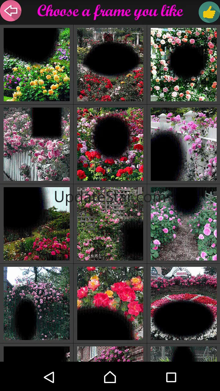 Rose Flower Frame 1.2