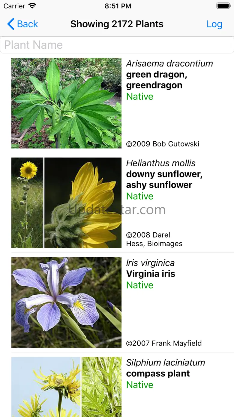 Kansas Wildflowers 9.1