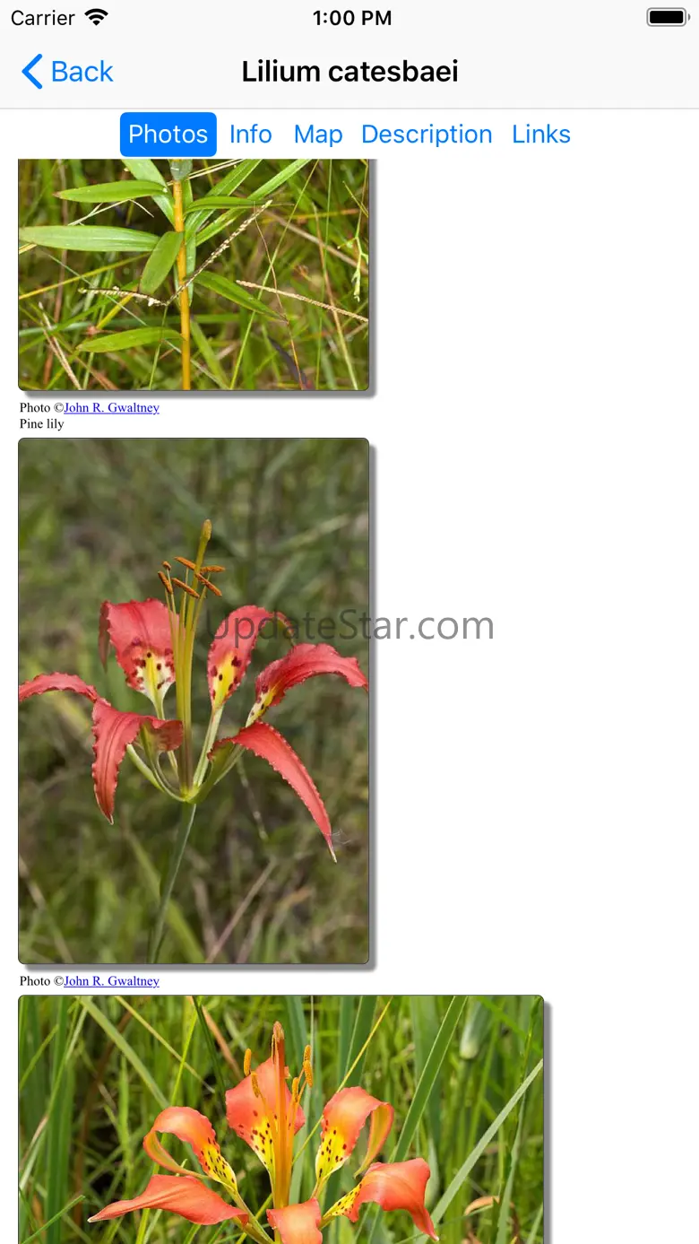 Alabama Wildflowers 9.1
