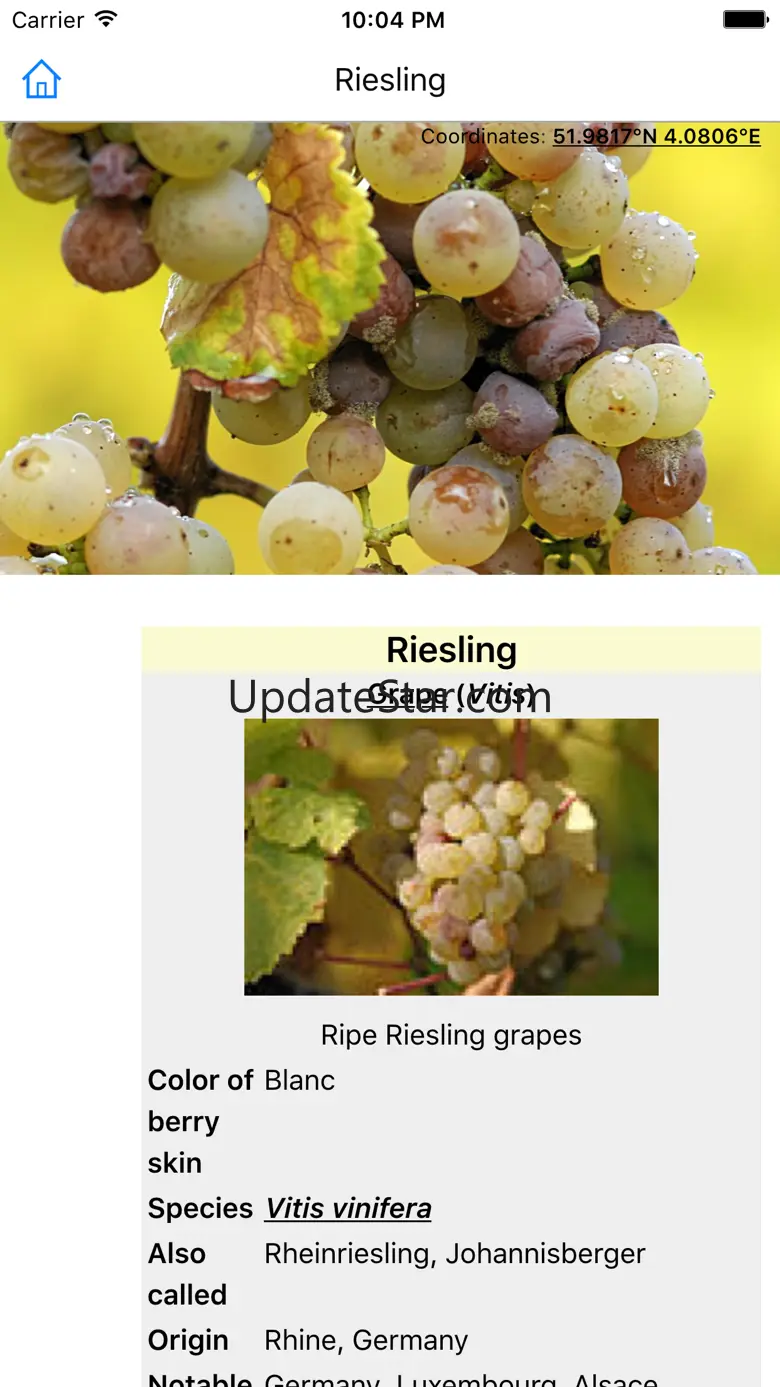CHI Encyclopedia of Wine 1.0.2