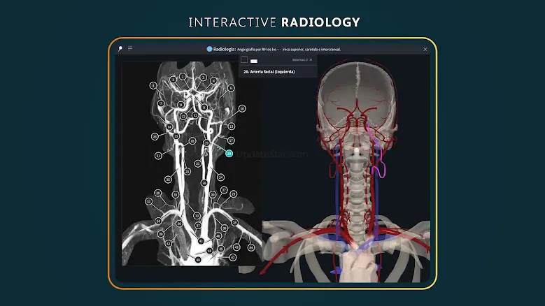 Complete Anatomy 2024 10.3