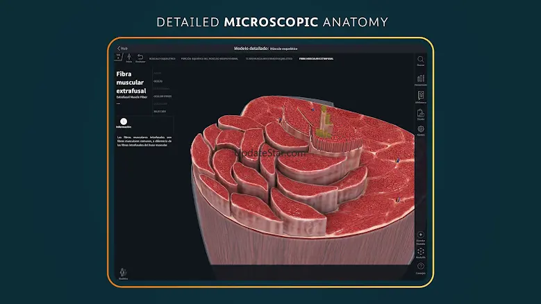 Complete Anatomy 2024 10.3