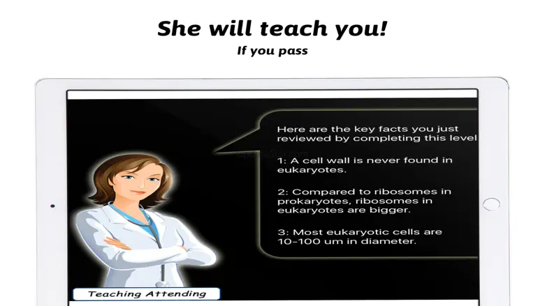 Pharmacology Game: Exam Prep 4.022018