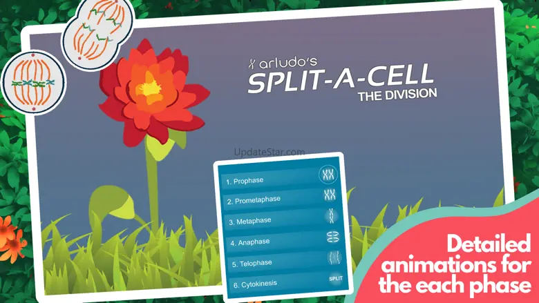 Split-A-Cell 2.10