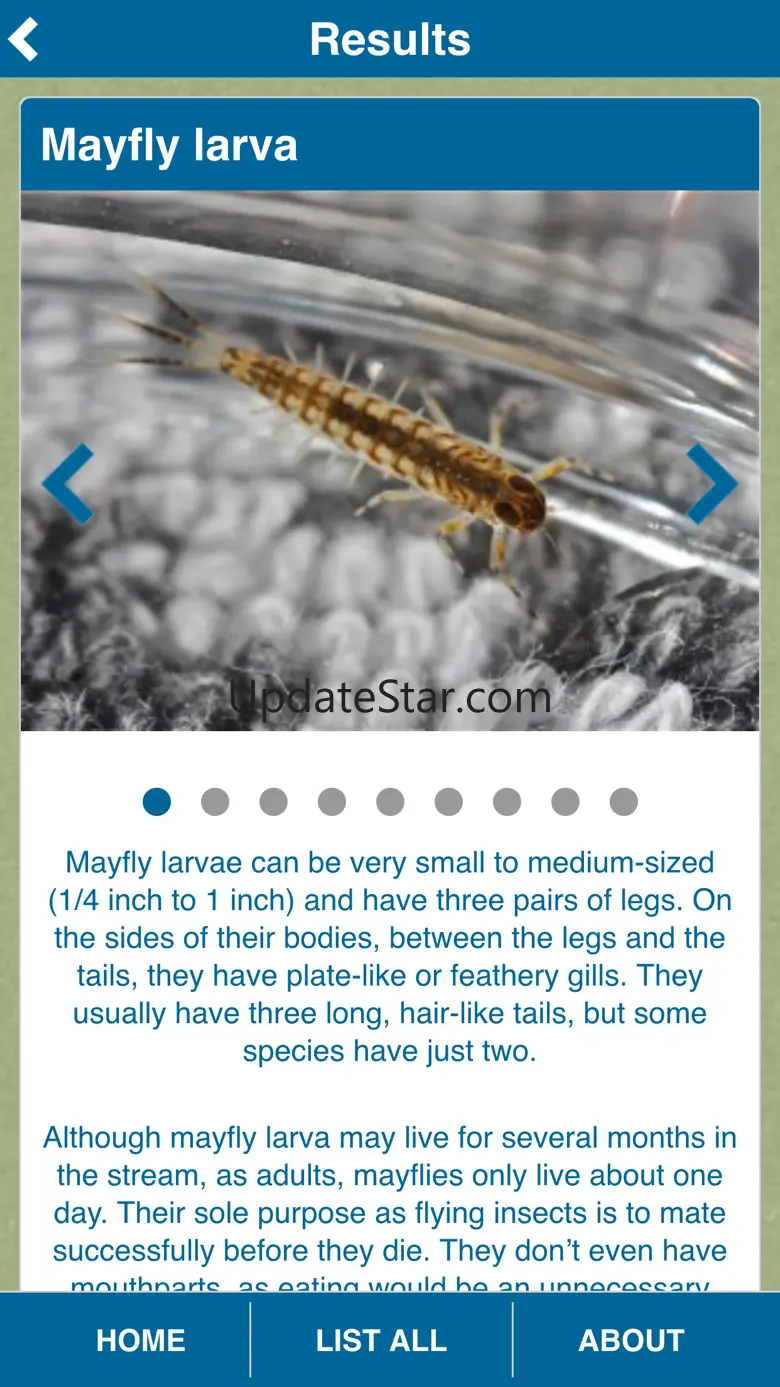 Aqua Bugs 1.0.3