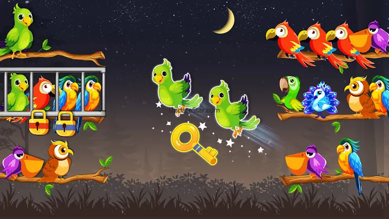 Bird Sort Puzzle Offline Games 3.8