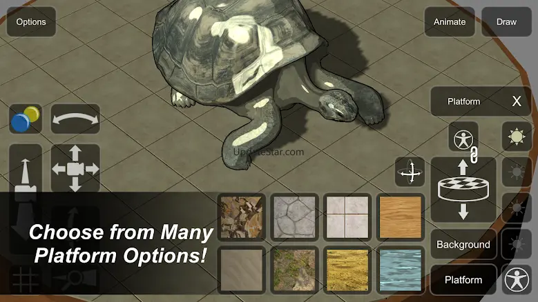 Tortoise Mannequin 1.0