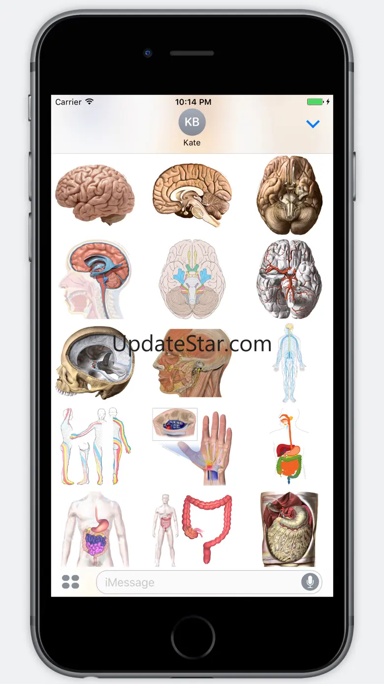 Anatomy Stickers 1.0