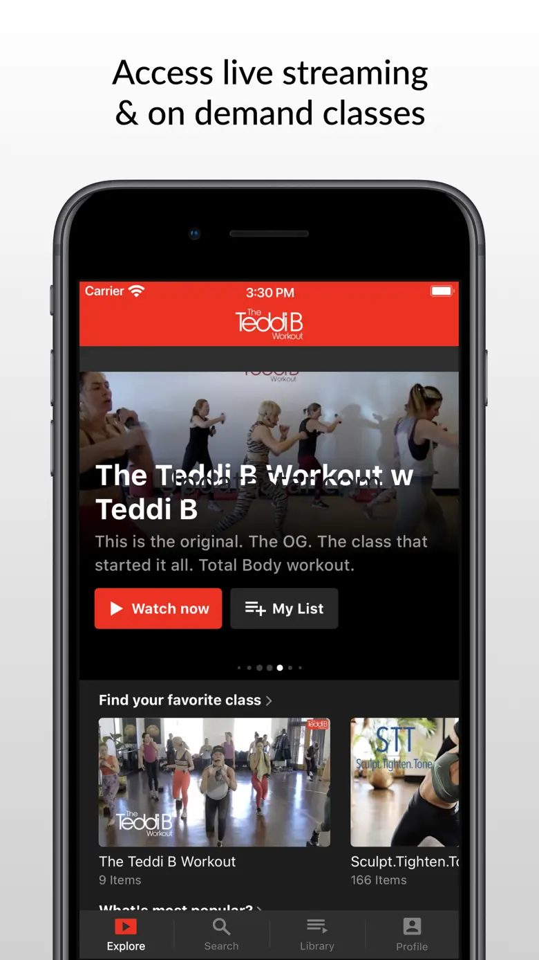 The Teddi B Workout 8.500.1