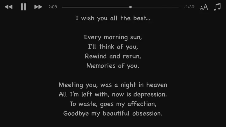 Lyrics View 3 3.0.4