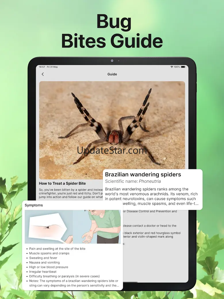 Bug Identifier Bug Finder 16.0