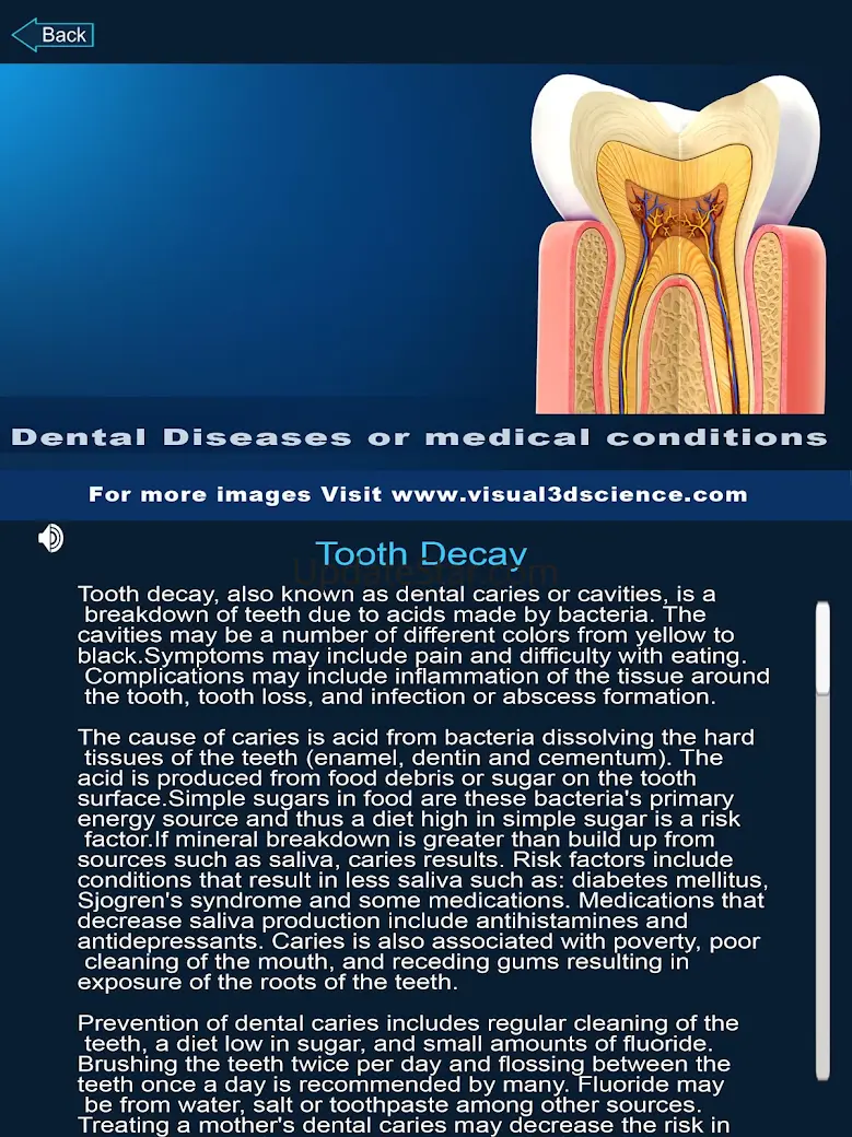 Dental Anatomy Pro. 20