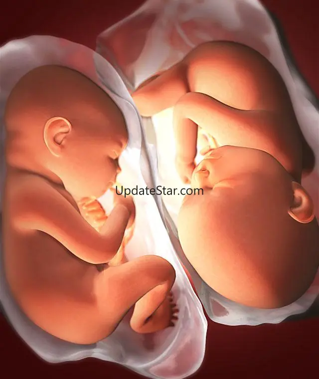 Pregnancy Week by Week 33.0.0