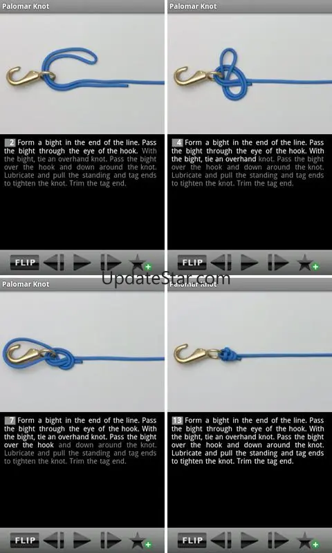 Animated Knots by Grog 9.0