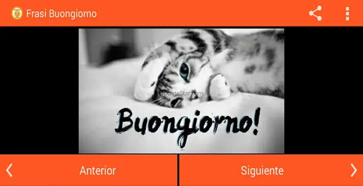 Immagini E Frasi Buongiorno