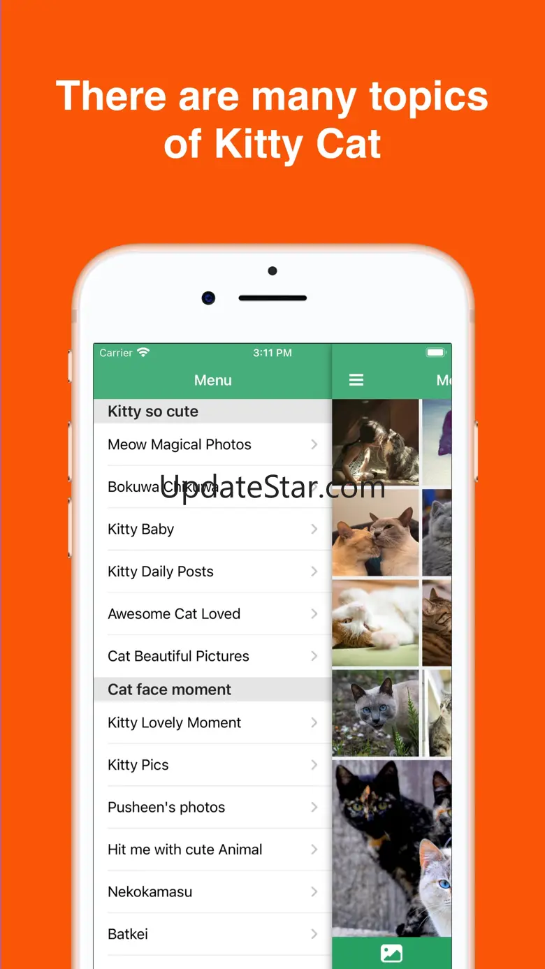 Kitty Cat Wallpapers 4K HD 2.0
