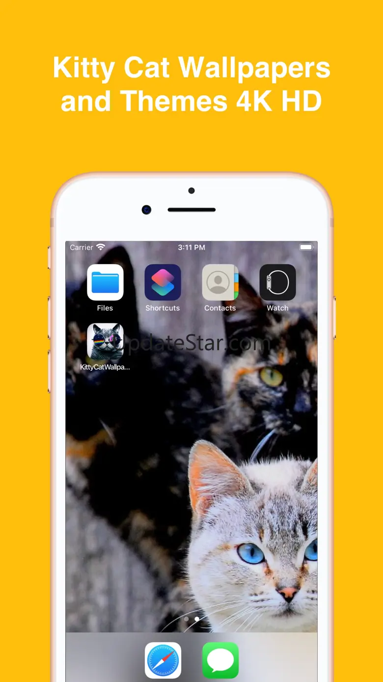 Kitty Cat Wallpapers 4K HD 2.0
