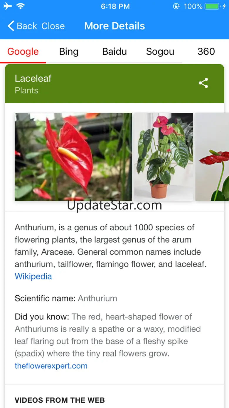 iFlowers - Plant identifier 1.90
