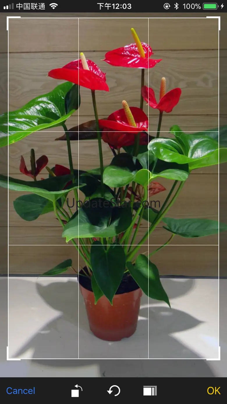 iFlowers - Plant identifier 1.90
