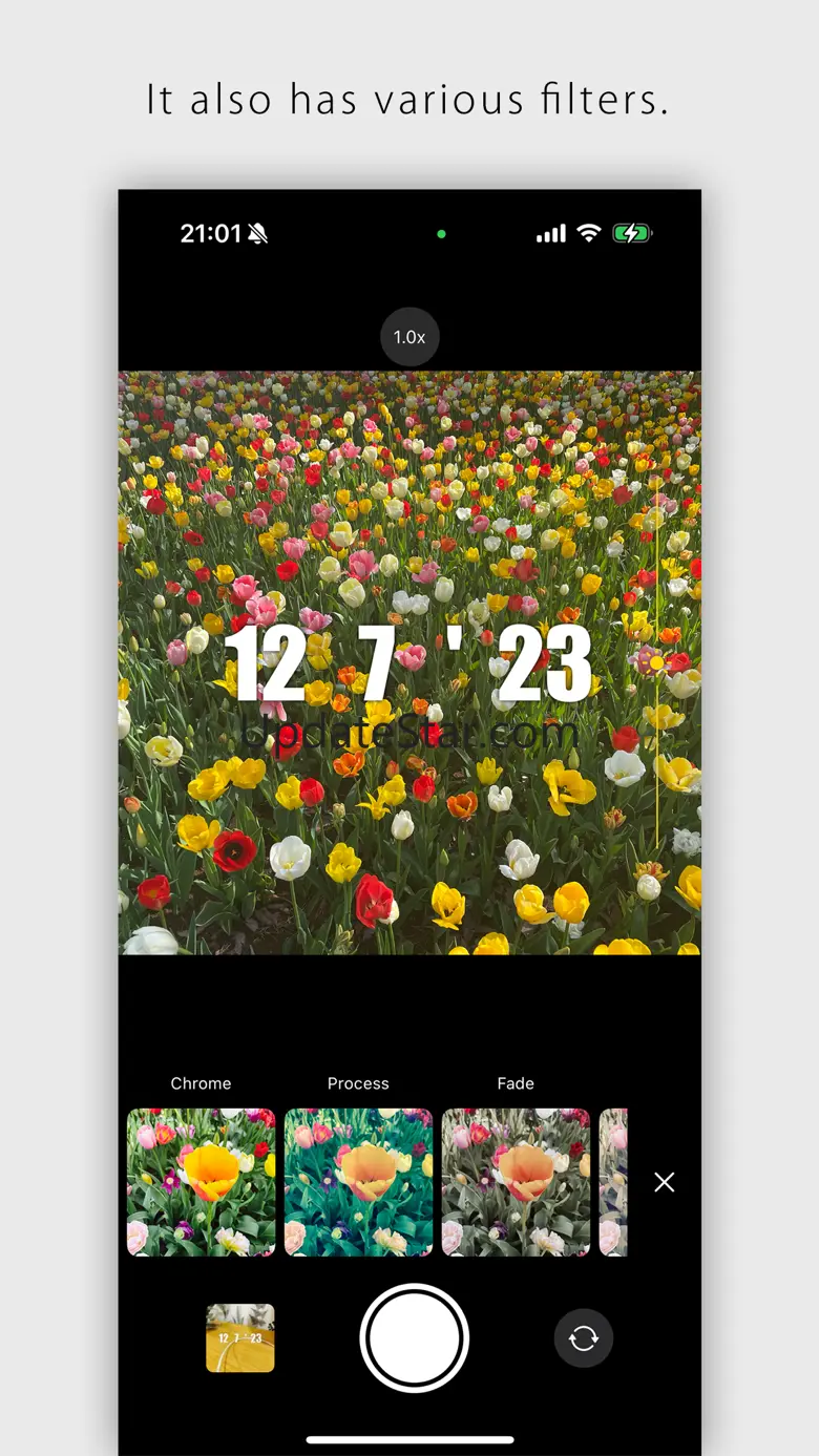 DateCam 2.0.4