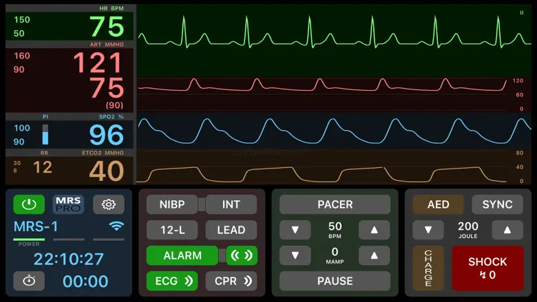 Medical Rescue Sim Pro 3.3