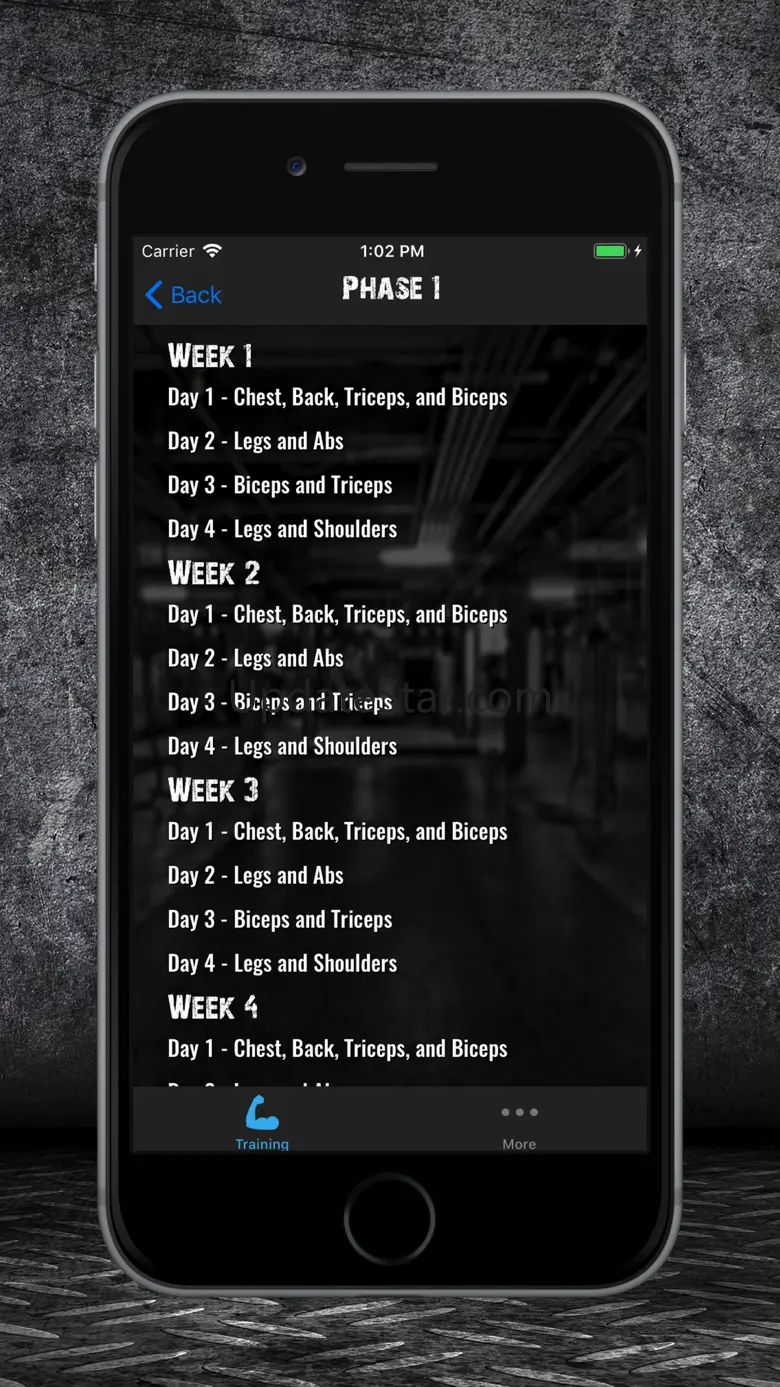 Ozan Kilic's 24 Week Trainer 1.0
