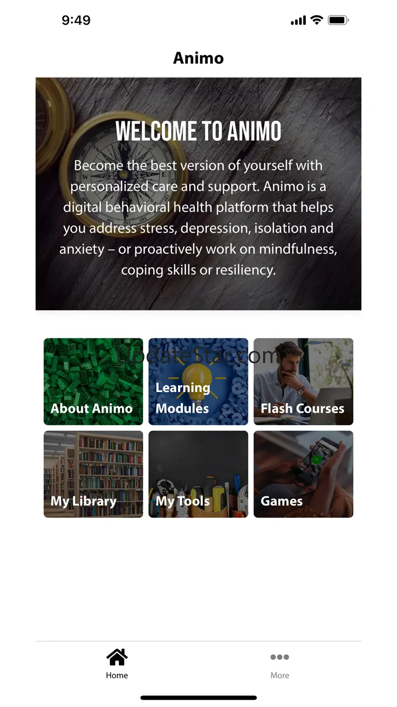 Animo Therapy 1.4.1
