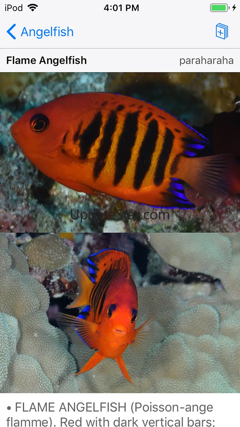 Tetiaroa Fish Guide 2.1