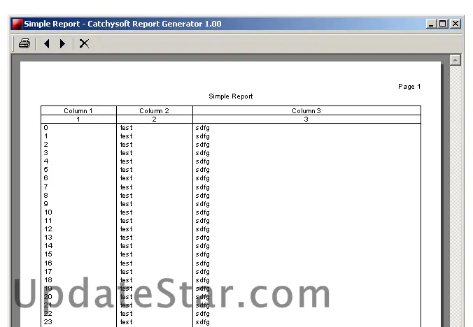 Catchysoft Report Generator 1.4.2.1