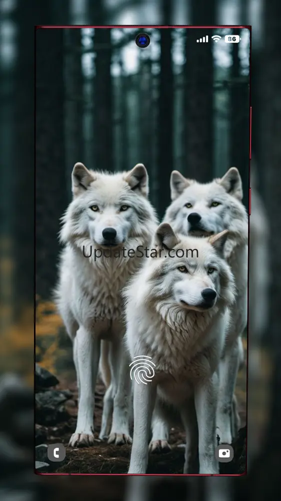 Wolf Wallpaper 5.1