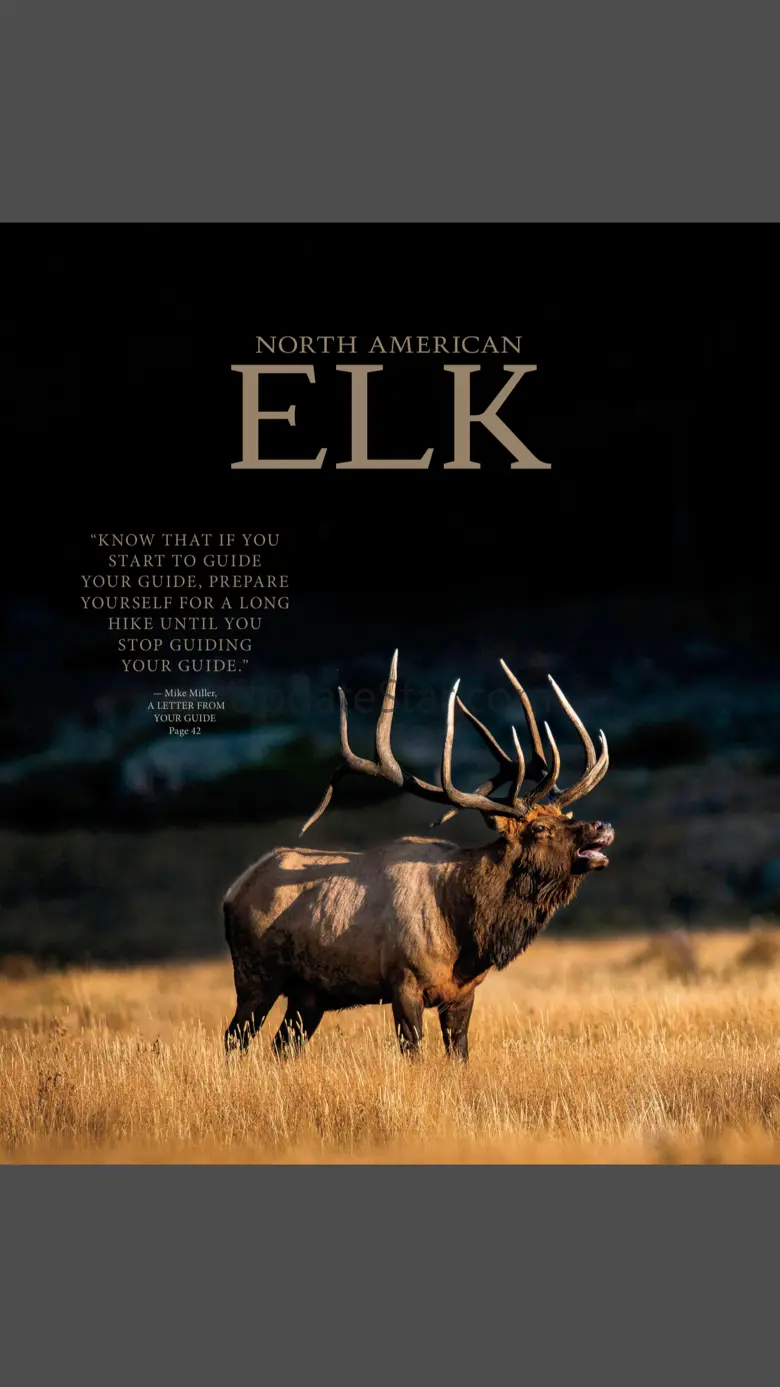 North American Elk 3.5